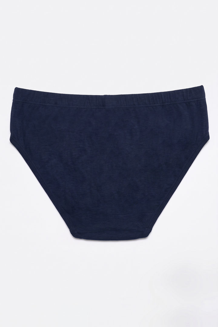 Lee Cooper Boys Solid Briefs (Pack of 3) - Multicolor — image 9